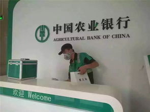 武漢好的葉子高效光觸媒推薦 新車上門檢測