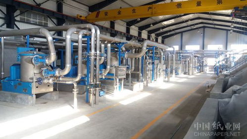 科技創(chuàng)新驅(qū)動設(shè)備節(jié)能環(huán)保，惠利造紙業(yè)的環(huán)保轉(zhuǎn)型